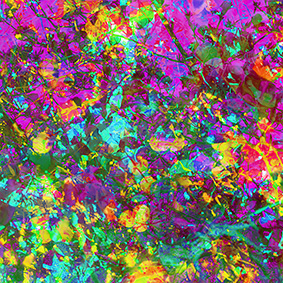 Photographers-Feeling-No3